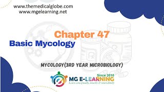 Basic Mycology Chapter 47 Mycology Microbiology [upl. by Neiviv]