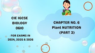 Chapter 6 Plant Nutrition Part 3 IGCSE paper Biology 0610 [upl. by Inigo]