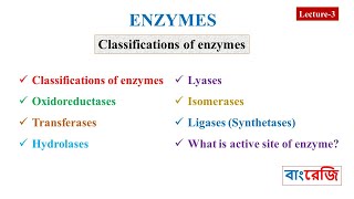 Classifications of enzymes oxidoreductases transferases hydrolases lyases isomerases ligases [upl. by Tab811]