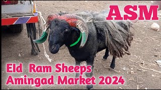 Episode 118 Amingad Ram Sheep Market Bagalkot Karnataka India Eid Market25th May 2024 [upl. by Hannala]