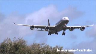 HDStorm Goaroundwind shear Crosswind landing at Narita Airport [upl. by Roshan]