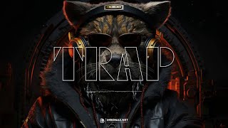 Best Trap Mix 2024  Hiphop Party Trap Music 2024 [upl. by Elawalo]