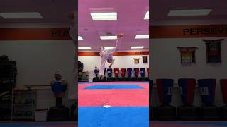 Taekwondo Tricking Kicks And Combinations [upl. by Einnij]