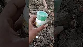 Azoxystrobin 182 Difenoconazole 114 fungicide use in hindi magnite fungicide [upl. by Sewel]