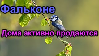 Фальконе Дома активно продаются [upl. by Ahidam619]