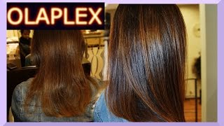 OLAPLEX ANWENDUNG Behandlung  VORHER NACHHER  HAIR FORCE ONE BAYREUTH [upl. by Ainaznat]