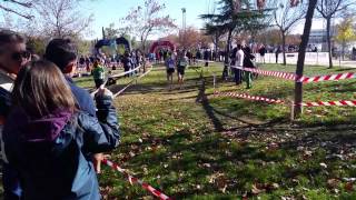 Cross de Alcobendas 2015  Remontada de Carlos Mayo [upl. by Andrey467]