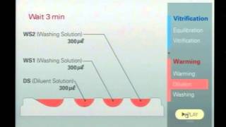 The Cryotech Method of Vitrification by Masa Kuwayama Part 2 [upl. by Ydnarb]