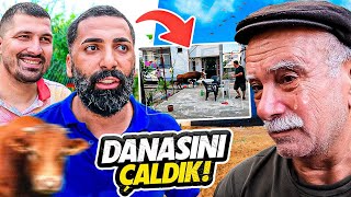 BABAMIN KURBANLIK DANASINI ÇALDIK [upl. by Seys153]