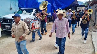 🔥🎺 Recorriendo las calles de San José Lagunas Guerrero con la banda de Alpoyecancingo [upl. by Lebiram830]