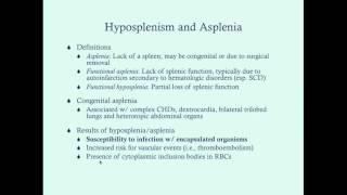 Hyposplenia and Asplenia  CRASH Medical Review Series [upl. by Kauppi]