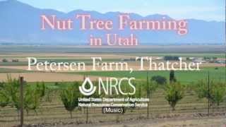 NRCS assists nut tree farmers in Utah [upl. by Chu]