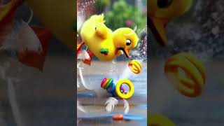 The duckling bought his favorite Stacking ring toy duck shorts [upl. by Erdrich807]