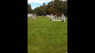 Blenheim International Horse Trials 100cm RC Eventer Challenge 2015 [upl. by Eanram]