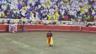 Tarde de toros manizalesferia enero 2019 [upl. by Nosral]