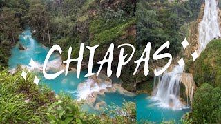 Top 8 Things To do In Chiapas Mexico  Gem in Mexico [upl. by Fredette]