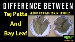 Difference bwTej Patta and Bay Leaf  Tej Patta Vs Bay Leaf  तेज पत्ता  Everyday Life 34 [upl. by Akinod56]