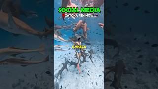 Social Media vs Rzeczywistość✈️🦈 [upl. by Casia]