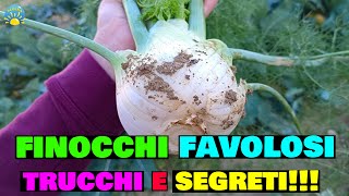 FINOCCHI Favolosi TUTORIAL TRUCCHI e SEGRETI [upl. by Cheryl]