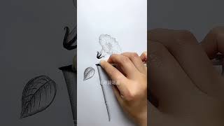 drawing ideas  drawing video  art ideas  TAKE AND FUN [upl. by Alexina147]