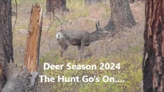 Deer Season 2024 The Hunt Gos on [upl. by Nadbus]