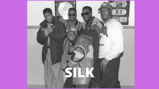 The Real Story of 90s RampB group Silk  Issues with Money Keith Sweat amp Sonja Norwood [upl. by Ahsekad65]