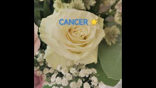 CANCER SENTIMENTAL NOVEMBRE 2024 🌈 [upl. by Intisar]