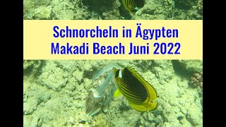 Schnorcheln Ägypten Makadi Bay Hausriff 2022 4K [upl. by Olegna]