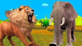 Lion amp Elephant Cartoon for Children Finger Family Nursery Rhymes  Animals Finger Family Rhymes [upl. by Cis]