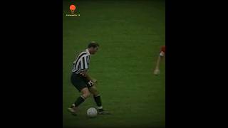 zinedine zidane skills and goals [upl. by Latty119]