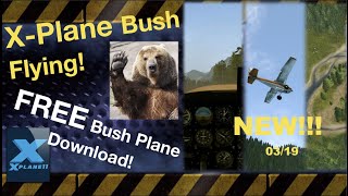 XPlane 11 Bush Flying [upl. by Juanne585]