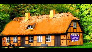 HALF TIMBERED HOUSE  HOUSE BUILDER  PART 6  DAY 54  365days CHALLENGE [upl. by Annas]