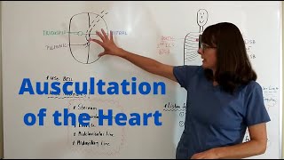 Auscultation of the Heart [upl. by Tupler614]