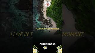 Practicing Mindfulness [upl. by Notlef]