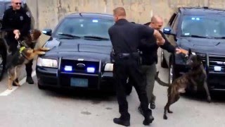 Police K9 Axels Last Shift Surprise Greeting [upl. by Etnovert550]