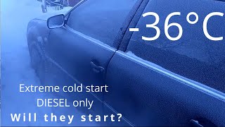 Extreme DIESEL car cold starts all bellow 30C  Hard starts [upl. by Enaenaj776]