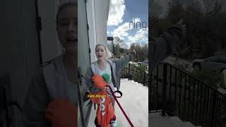 Stranger apologizes for dogs behavior in front of ring camera😂 [upl. by Ydrah]