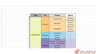 Anong the following periods which of the following belong to palaeozoic era   12  EVOLUTION [upl. by Ila]