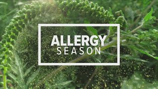 Tough time of year for people with allergies [upl. by Rheba]