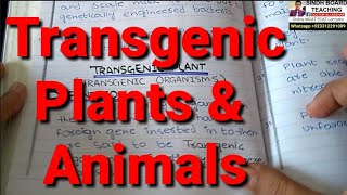 Transgenic Plants and Animals Lecture 3 XII Biology Chapter 9 [upl. by Eitsyrc]