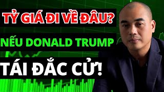 TỶ GIÁ biến động ra sao nếu DONALD TRUMP tái đắc cử [upl. by Magnuson]