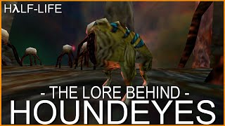 HalfLife The Lore Behind Houndeyes [upl. by Aicatsan]