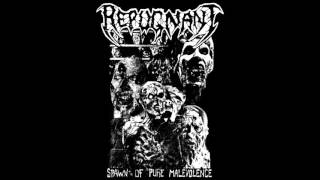 Repugnant  Spawn of Pure Malevolence Full Demo [upl. by Ellehcin]