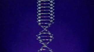 DNA STRUCTURE [upl. by Derraj]