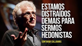 Contardo Calligaris – quotEstamos distraídos demais para sermos hedonistasquot [upl. by Metcalf]