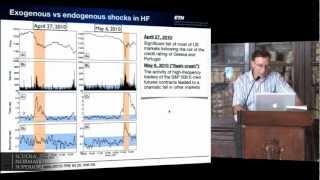 Didier Sornette Reflexivityendogeneity pervades financial markets from high frequency trading [upl. by Hgeilyak]