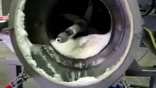 Demonstration of a Kason CentriSifter Dewatering Slurry [upl. by Keeryt]