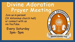 DIVINE ADORATION PRAYER MEETING 3PM  every Saturday [upl. by Fessuoy1]