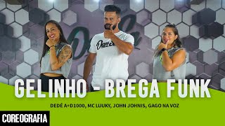 GELINHO  BREGA FUNK  Dedé AD1000 Mc Luuky John Johnis Gago Na Voz  DanSa Coreografia [upl. by Henig]