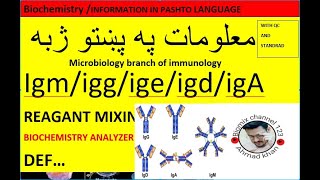 Immunoglobulin iggigm igAigeigD in pashto [upl. by Wendye]